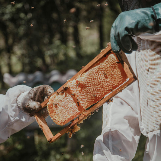 Mályinkai akácméz - 250 g